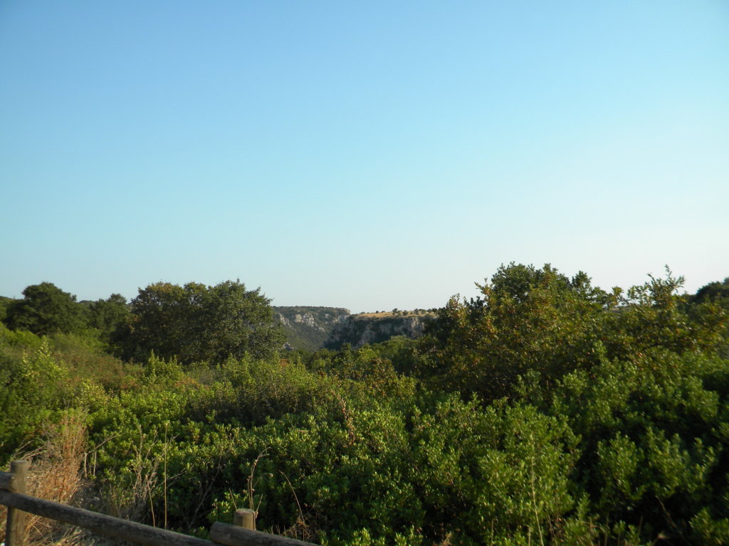 DSCN2637 .JPG